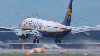 FULL HD Ryanair 737 Multiple BIRD STRIKES [upl. by Wellesley]