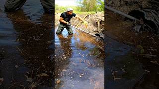 Beaver Dam In The Mouth Of The Culvert  Beaver Dam Removal shorts [upl. by Lehteb370]