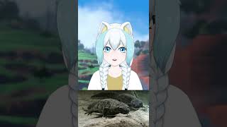 Clodsire has been WHERE Vtuber nature facts indievtuber pokémonsv [upl. by Aneekat]