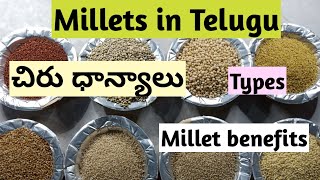 Millets in telugu  Millet benefits  Types of millets in telugu [upl. by Levram]