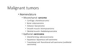 Neoplasia 2022 Part 1 [upl. by Occir644]