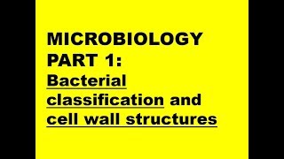 MICROBIOLOGY PART 1 Bacteria classification  cell wall structure [upl. by Clarinda]