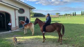 Presentazione corso di monta a pelo con Cianchino e Tredici [upl. by Annoved]