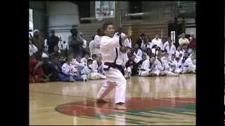 The Storm of Tang Soo Do [upl. by Ellehcal968]