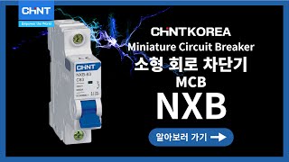 CHINT NXB Series  MCB 소형 회로 차단기를 소개합니다 [upl. by Ardnaskela]