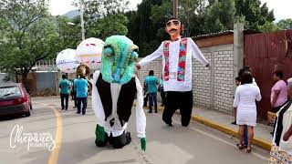 Locura Con Diez Marmotas En Calenda Del Mercado De La Merced canciones El Trapecistala pájara pinta [upl. by Akcimat]