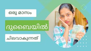 ഒരു മാസത്തെ വരവും 💶ചിലവും 🛍️🛒🫣 Monthly expenses in Dubai  Aswathyzachariah [upl. by Lhamaj]