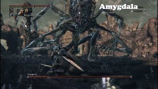 Bloodborne Amygdala Boss Fight [upl. by Goldarina]