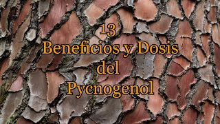 13 Beneficios y Dosis del Pycnogenol [upl. by Swihart]