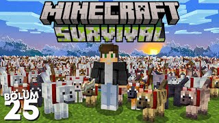 Bir Deney İçin 1000 Kurt Evcilleştirdim Yeni Türler  Minecraft Survival 25 [upl. by Michaeu]