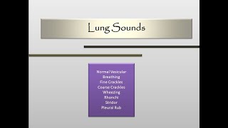 Lung sounds [upl. by Nosrettap449]