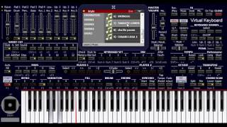 KORG PA4X 2018 cha3bi [upl. by Halyhs]