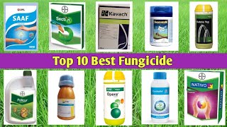 Top 10 Best Fungicide [upl. by Arten523]