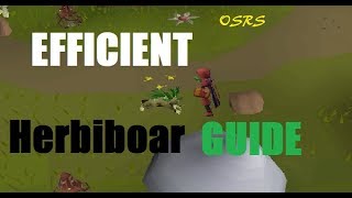 OSRS Efficient Herbiboar Hunting Guide Very Easy And Fast [upl. by Nilrac]