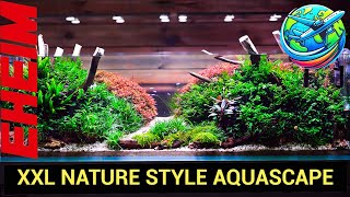 Nature Style Aquascape [upl. by Ingham894]