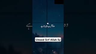 Logo sy ni Allah sy Mango beyan drisrarahmad islamicstatus unfrezzmyaccount quran shortvideo [upl. by Inot]