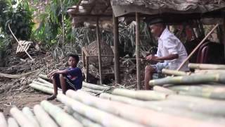 Spedagi Bamboo Bike Tour for Village Revitalization [upl. by Aniwde]