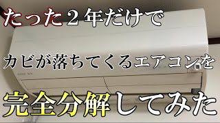 たった２年使用しただけで、中からカビが落ちてくるエアコンの中身がこちらです、、、【エアコン完全分解クリーニング】 [upl. by Samy]