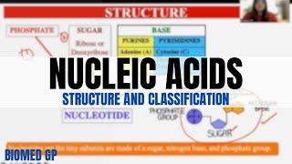 Nucleic Acids Structure and Classification [upl. by Cathlene]