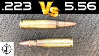 Is it SAFE to run a 223 through a 556 chamber 223 VS 556 [upl. by Voccola]