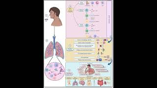 pneumonia vs tuberculosis  Medical Common Sense [upl. by Atnoek]