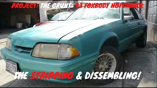 93 Mustang notch COYOTE SWAP build Part 3 by Folleh Shar Tamba [upl. by Ijnek]