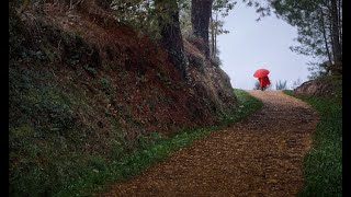 Camino de Santiago Portomarin  Palas de Rei [upl. by Nadeen]