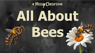 All About Bees  Inside the World of Honey Bees  Surprising Bee Facts That Will Blow Your Mind [upl. by Ahsit]