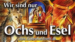 Ochs und Esel  Weihnachtslied für Kinder  Kindermusikwelt [upl. by Newo]