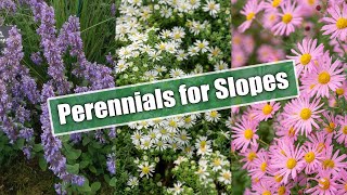 Gardening on Slopes Here Are 10 Perennials for Sun and Shade [upl. by Edras]