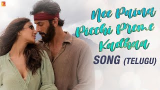 Nee Paina Picchi Preme Kadhaa Song  Ranbir Kapoor Vaani Kapoor  Yazin Neeti Mithoon  Chaitanya [upl. by Ylla508]