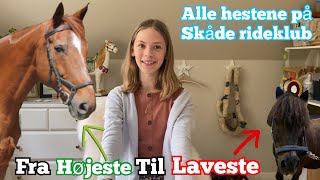 Alle elev hestene og ponyerne på Skåde Rideklub  Alder Højde Niveau… [upl. by Aidile669]