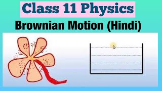 Brownian Motion Hindi  Class 11 Physics [upl. by Ydor122]