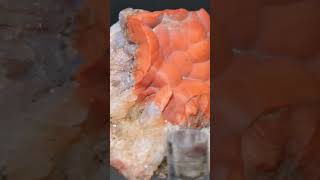 Red Botryoidal Chalcedony chalcedony quartz watersounds rocksandminerals rockhounding [upl. by Sower]