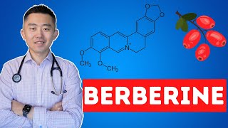 The Truth About Berberine  What you need to know [upl. by Rekoob160]