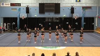 Umeå Cheerfest 2018 Cheer Force Allstars Felines [upl. by Travers708]