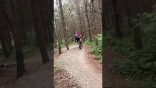 blue trail  sherwood pines mtb [upl. by Ayotac219]