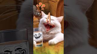 Tom sings drink sewer rat water brought by cat [upl. by Busby]