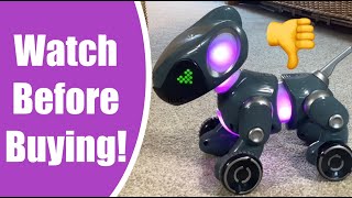 Pyxel Coding Tutorials  WATCH BEFORE BUYING Pyxel Pyxel a Coders Best Friend Robotic Dog [upl. by Turner]