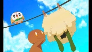 WHY DID THEY HURT WHIMSICOTT [upl. by Anialed]