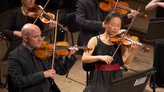 Mozarts Symphony No 40 first movement – performed live by the London Mozart Players [upl. by Aihselat]