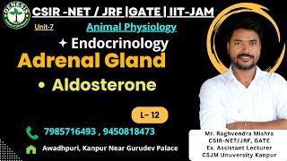 Physiological Effects of Aldosterone  Adrenal gland Animal Physiology genesisinstitute [upl. by Abigael]