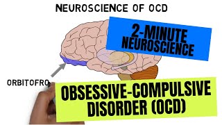 2Minute Neuroscience ObsessiveCompulsive Disorder OCD [upl. by Najib160]