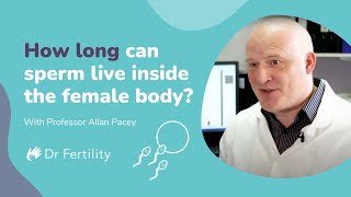 How Long Can Sperm Live Inside The Female Body  spermbanter  Dr Fertility [upl. by Suk430]