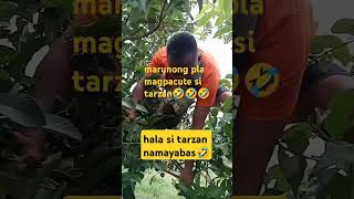 Hala namayabas si tarzan🤣 funny fypシ゚viral fypviral fypshorts fyp funnyshorts [upl. by Nevaed]