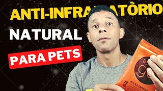 ANALGÉSICO E ANTIINFRAMATÒRIO Barato e SEGURO para CÃES E GATOS [upl. by Aivital]