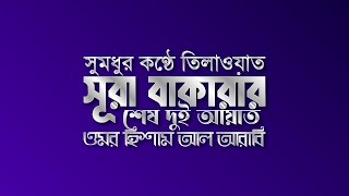 সূরা বাকারার শেষ দুই আয়াত  Surah Al Baqarah last 2 ayat  Omar Hisham Al Arabi [upl. by Sondra]