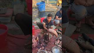 Amazing Ayer Fish Cutting Skills shorts fishcutting [upl. by Leahpar34]