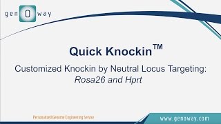 genOway  Quick Knockin by targeting Rosa26 or Hprt [upl. by Ailsa856]