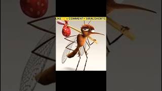 Why Mosquitoes Bite 😱 Most Dangerous Insect in The World  MOSQUITO  shorts short [upl. by Lisab785]